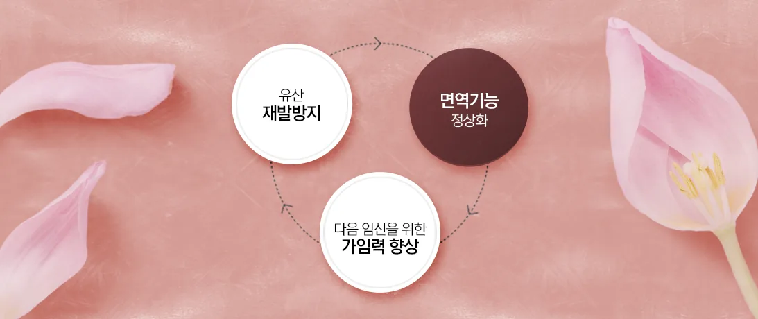 유산 재발방지 → 면역기능 정상화 → 다음 임신을 위한 가임력 향상 순환 다이어그램